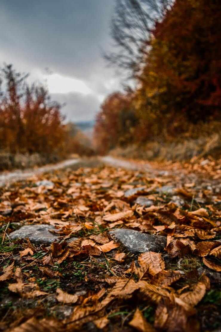 Percorso meraviglioso nel Lazio