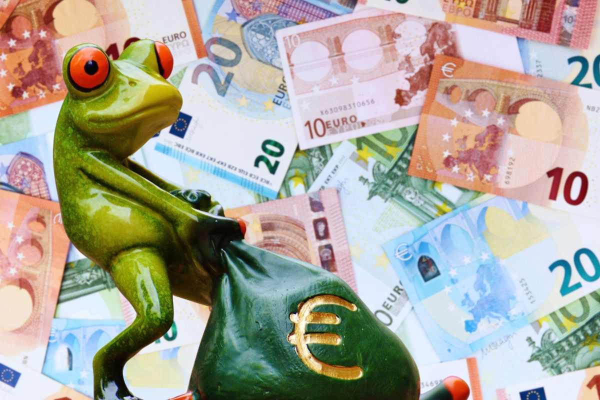 rana con sacco simbolo euro e banconote sparse