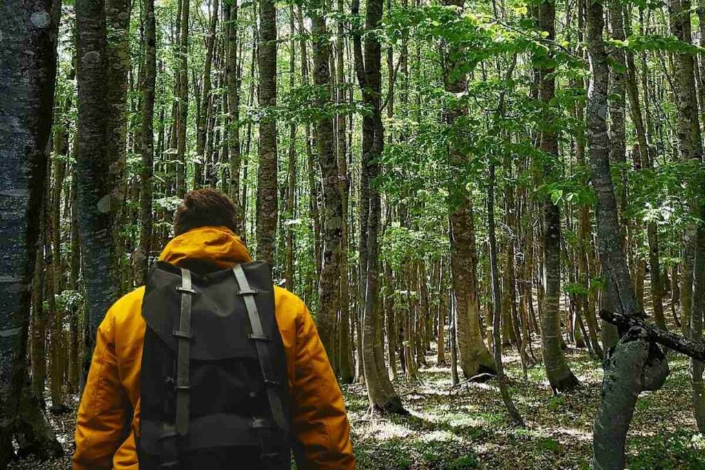 Trekking in montagna